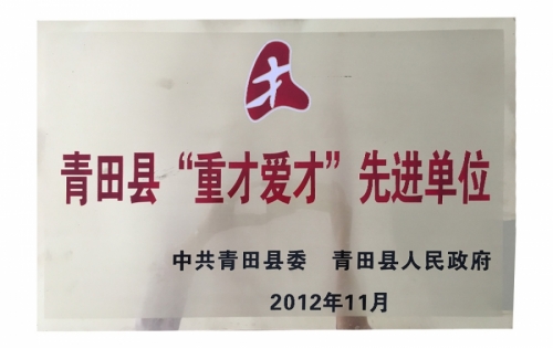 资质荣誉-122cc太阳集成游戏,电子式电能,智能电能表,智能开关,智能AMI系统,物联网解决规划,官方网站