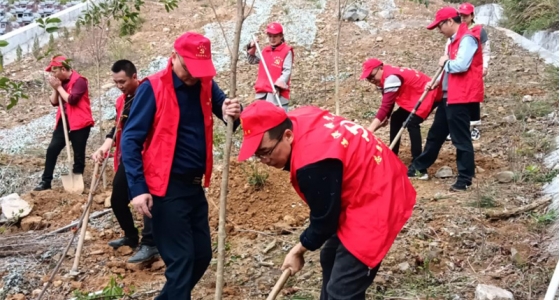 村企共建，共植前锋林